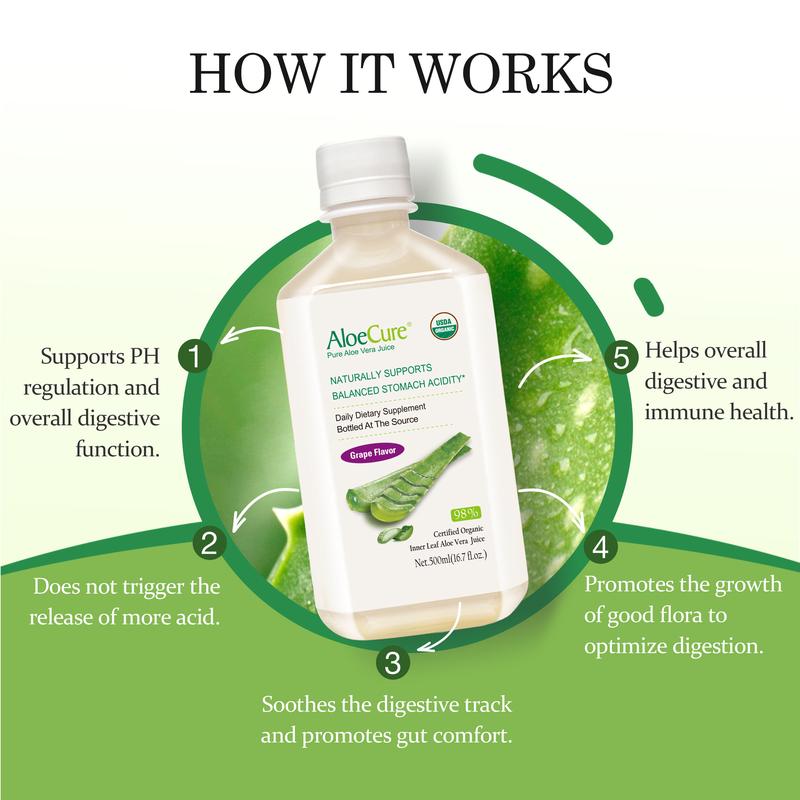 AloeCure USDA Organic Aloe Vera Juice Grape Flavor, Made Within 12 Hours of Harvest - Pure Aloe Juice For Natural Digestive & Immune Support, Naturally Supports Balanced Stomach Acidity, 500ml Bottles