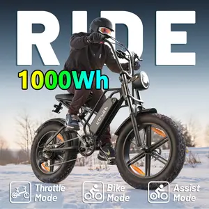 E500- e bikes with Peak 48V 1000Wh High Power Motor Fast Speed,20-Inch Wheel,Strong Performance,Perfect for Adventure and Outdoor Fun!E bike Max Speed for Extreme Riders , Fat Tires, Ideal for Mountain and Off-Road Riding,Heavy Duty E-Bike for Adults