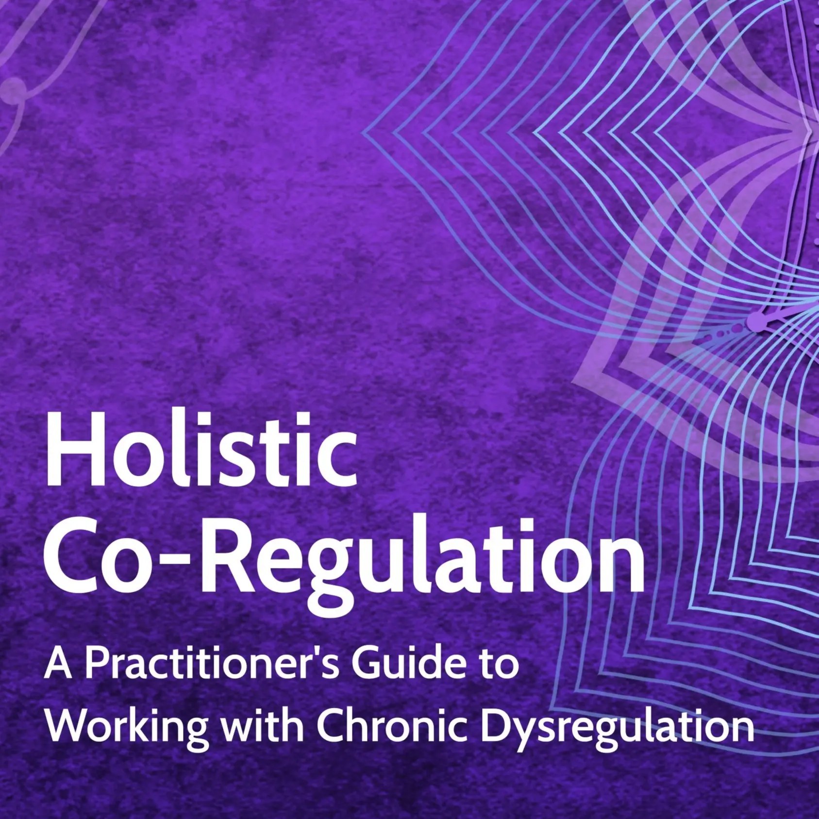 Holistic Co-Regulation: A Practitioner's Guide to Working with Chronic Dysregulation