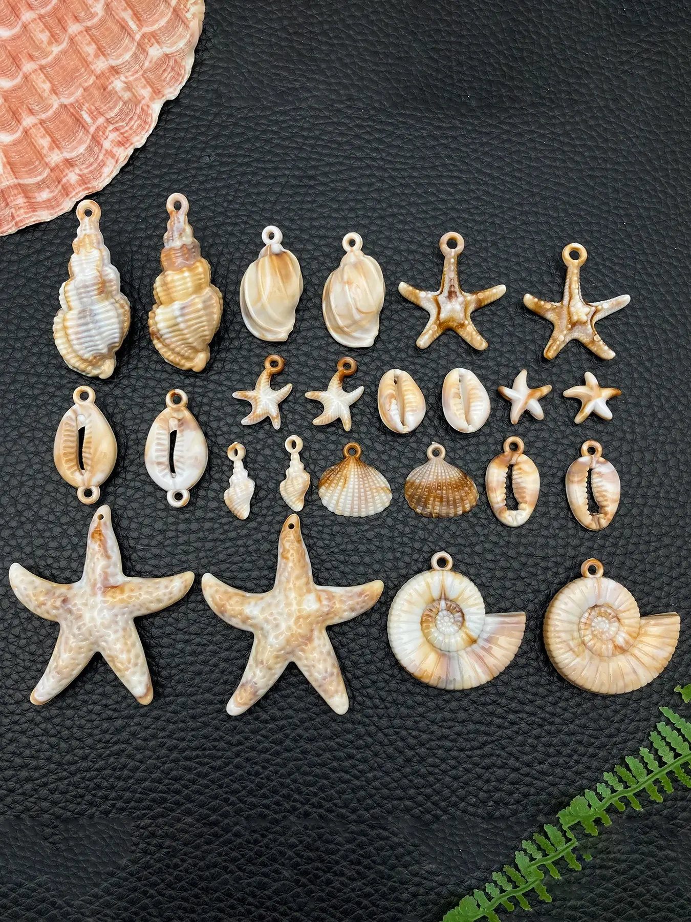24pcs Shell Pendants Acrylic Scallop Pendants Star Pendant Imitation Shells Beach Seashells Charms Summer Sea Shell Charms for DIY Jewelry Making Earrings Bracelets Crafts