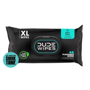 DUDE Flushable Wipes, Extra Large Mint Chill Wet Wipes, 48 Count Pack