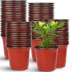 150 count 4" Plastic   Pot, Seed Starting Pots for Succulent Seedling  Transplanting