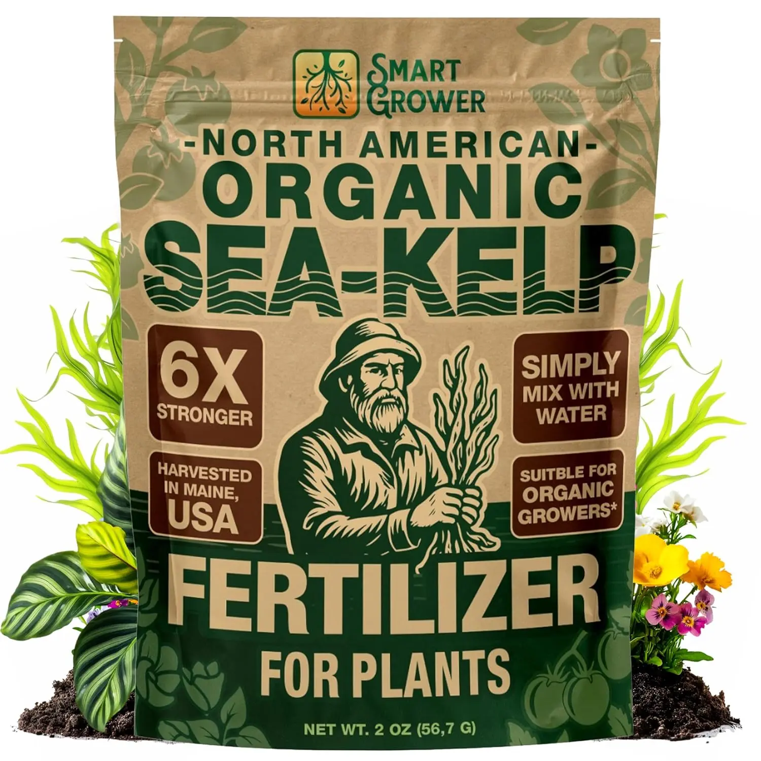 Organic Sea Kelp Fertilizer for Plants  2oz Water-Soluble Powder  Makes  50 Gallons  Kelp Meal Concentrate Plant Food  for Indoor Gardens,  Hydroponics, Vegetables, Houseplants Potassium - TikTok Shop