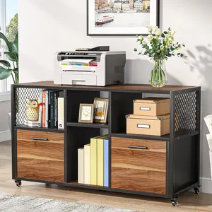 LITTLE TREE 2 Drawer Wood File Cabinets, Modern Mobile Lateral Filing Cabinet for Letter/ A4 Size, Printer Stand with Open Storage Shelves and Drawer for Home Office