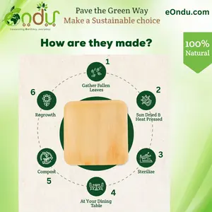 Palm Leaf Square Plates | Eco-Friendly Disposable Dinnerware