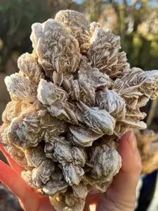High-Quality Natural Desert Rose Gypsum Stone, Crystal Cluster, Unique Home Decoration, Perfect Gift Idea, Ideal Halloween Present