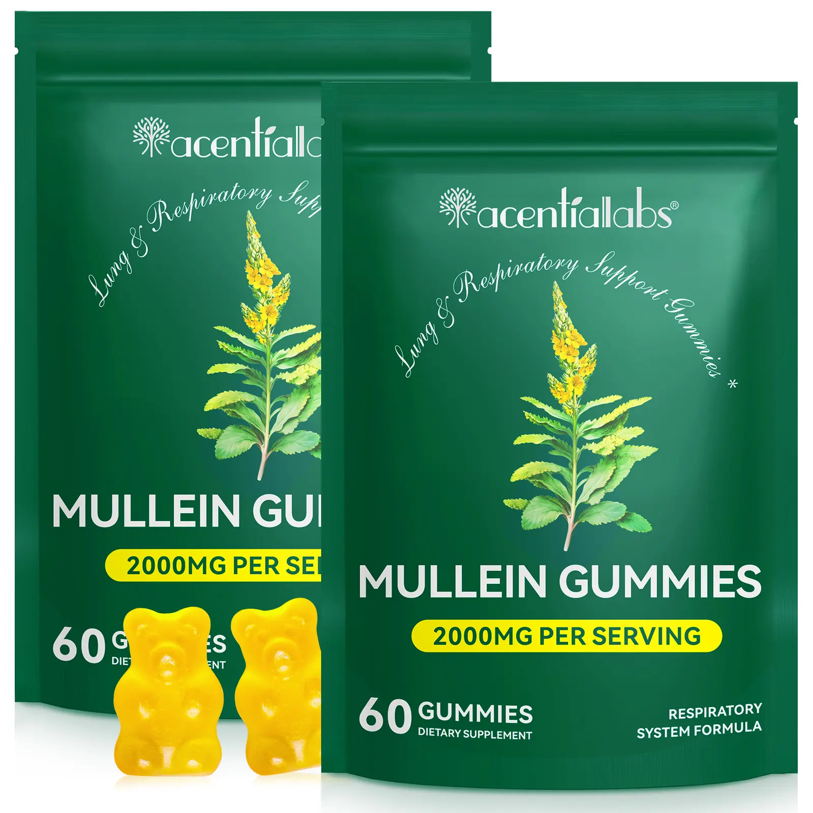 Acentiallabs Mullein Leaf Gummies, 2000mg Natural Chewable Respiratory System Formula Dietary Supplement with Quercetin, Bromelain, Elderberry, Marshmallow, 2 Packs (60 Count Each), Lung Detox & Immune Support, Vegan
