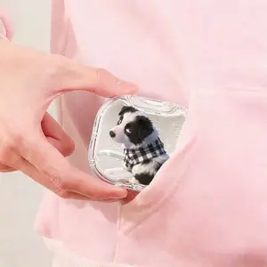 Border Collie Plaid Scarf Printed Braces Box, Anti-Lost Portable Denture Storage Box, Dual-Use Orthodontic Retainer Case for Home and Travel, Wear-Resistant Compression-Resistant Invisible Braces Box