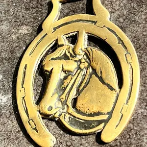 Horse head brass medallion
