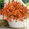 12 Bundles UV-Resistant Artificial Daisy Cuttings Home Decor Items - Plastic Daisies, Silk Chrysanthemums, Eucalyptus Hang-Ready Vines, Fall Green Plants - Artificial Fall Floral Arrangement for Indoor/Outdoor Home, Balcony, Porch Patio
