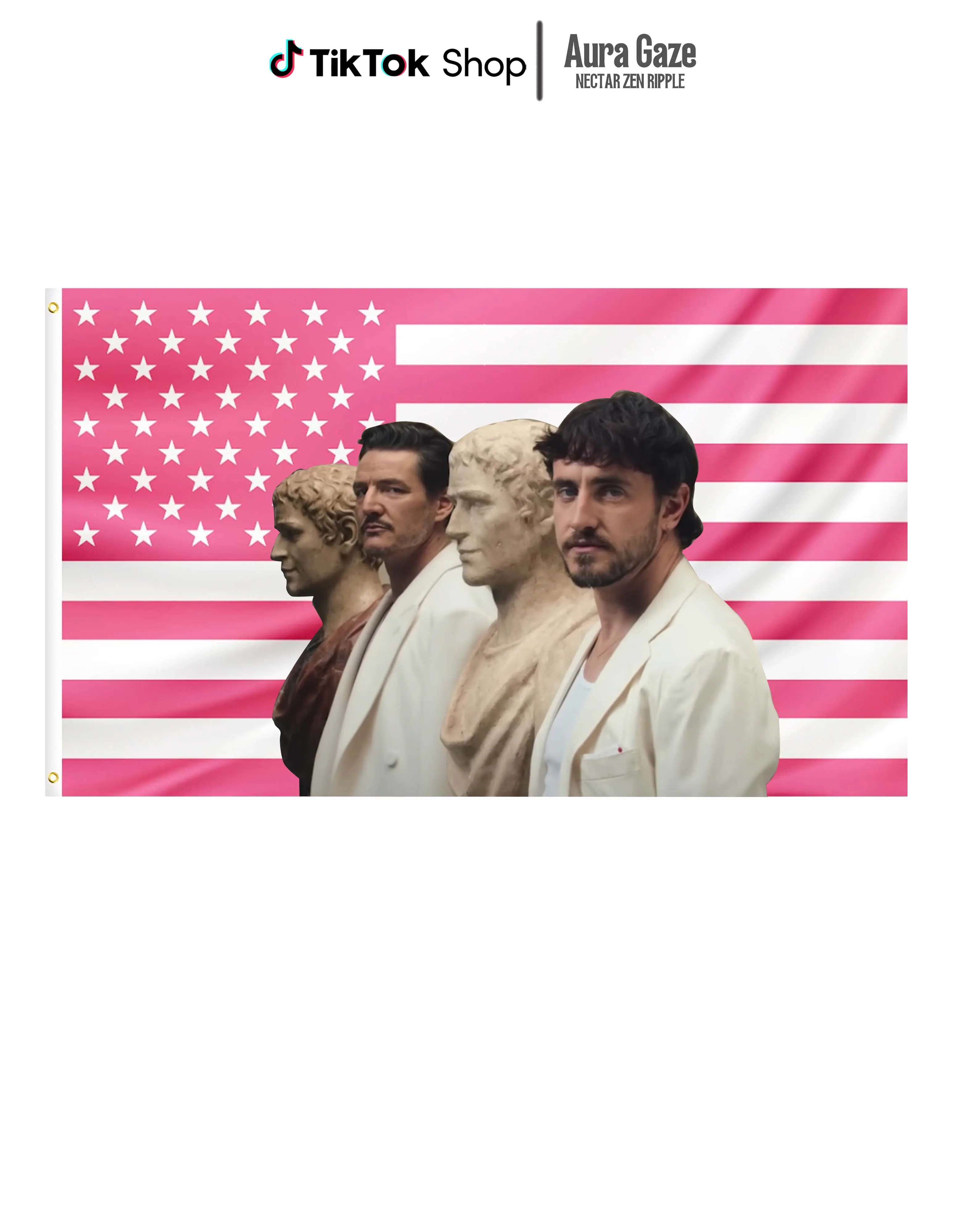 Pedro Pascal and Paul Mescal Gladiator 2 Pink American Flags For Wall Decor, Indoor Wall Tapestries, Room Decor, One Side Polyester Wall Flag