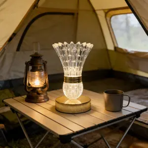 LED Desk Lamp with Badminton Shape USB Powered Bedside Light Decorative Led Home Decor for Bedroom Living Room Hotel Villa