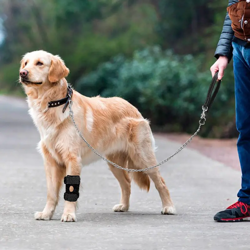 Pet Leg & Joint Support Sleeves for Dogs & Cats, Patella Protection, Aid Recovery from Ligament & Joint Issues