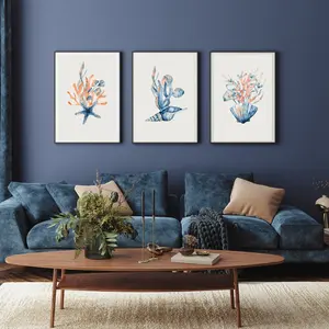 Coastal Wall Art, Coral, Starfish, Seashell and Seaweed Prints, White Background Room Decor, Unframed
