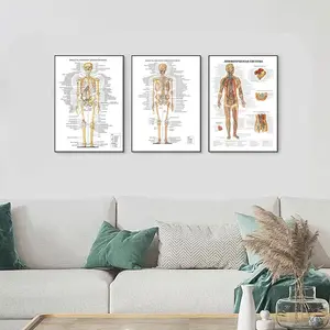 Human Anatomy Model Unframed Poster Print, 3 Counts/set Modern Fashion Style Artistic Wall Art, Wall Decor for Home Living Room Bedroom Office School