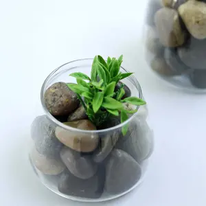 Decorative Stones Polished Natural Assorted Design 2Lb - Perfect Vase Fillers, Landscaping Rocks, and Aquarium Gravels