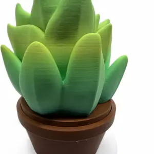 Foaming soap holder shaped like a succulent with storage bathroom accessories