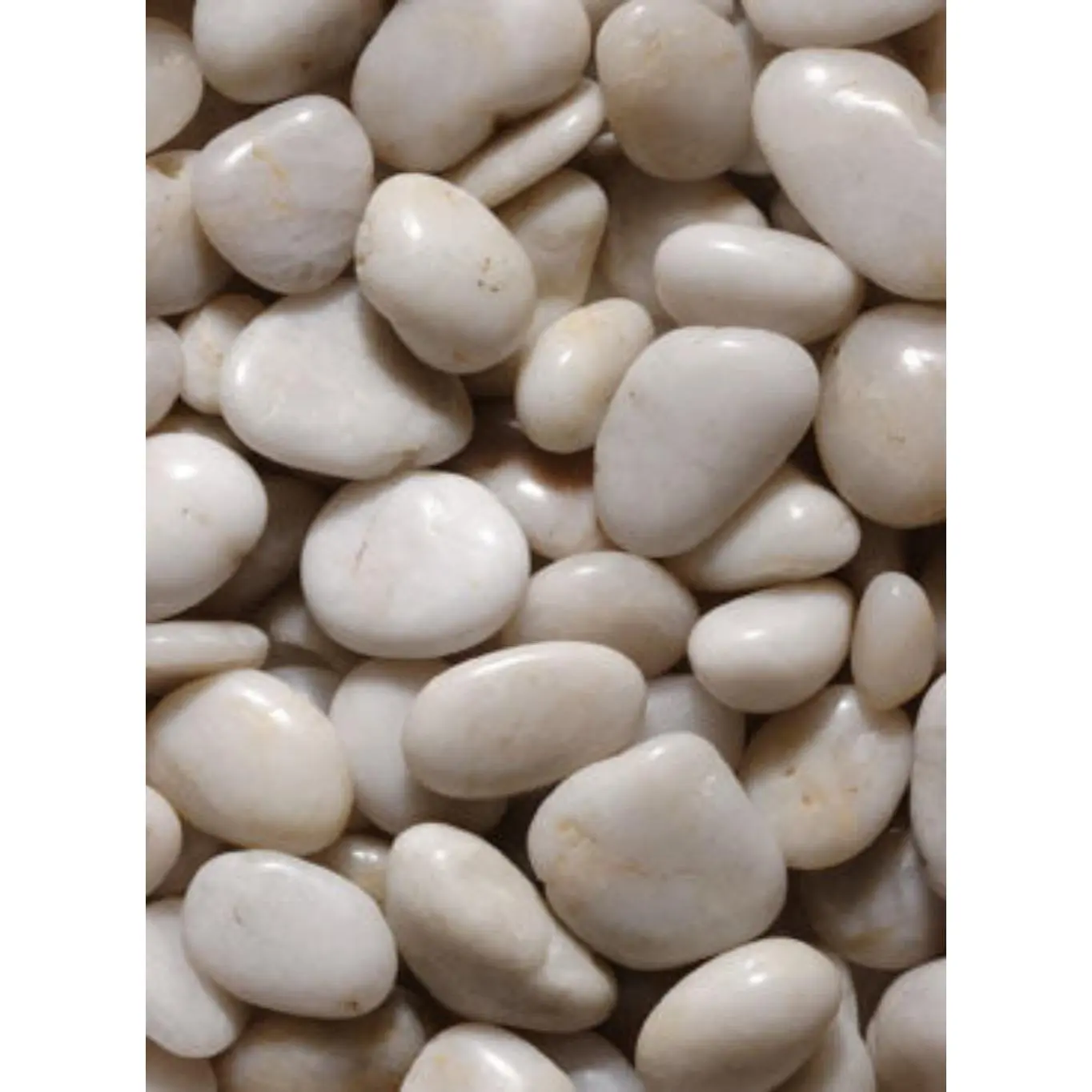 Mini Polished White River Stones 0.5" - 1.25"