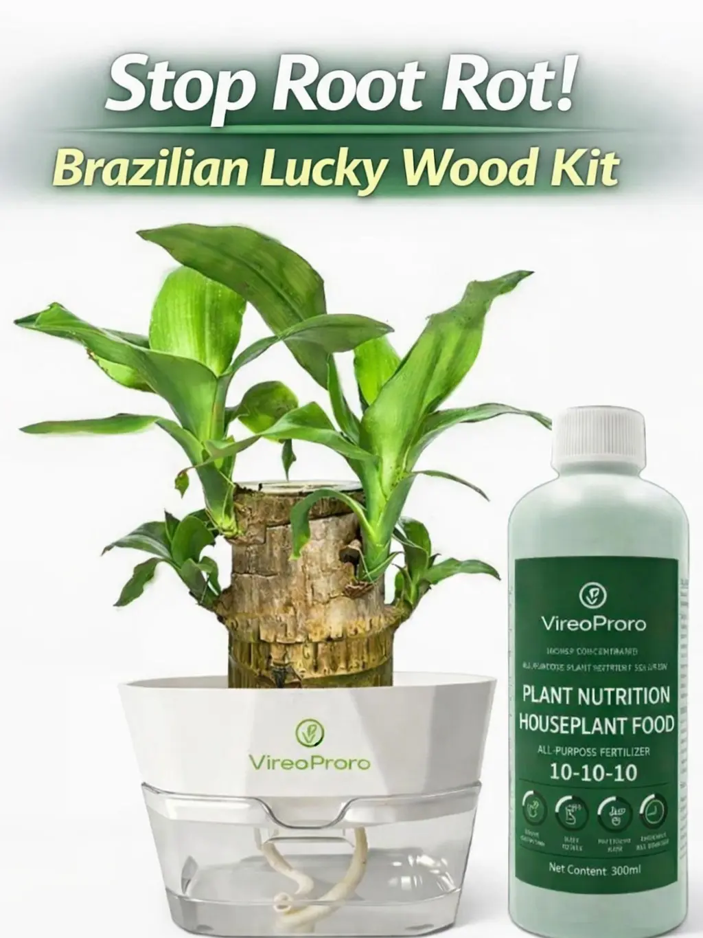 Stop Root Rot! VireoProro Brazilian Lucky Wood Kit with Self-Watering Pot & Plant Nutrition 10-10-10 Fertilizer for Effortless Growth Indoor Hydroponics System Potting Mix