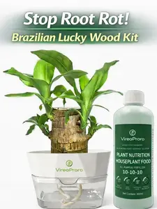 Stop Root Rot! VireoProro Brazilian Lucky Wood Kit with Self-Watering Pot & Plant Nutrition 10-10-10 Fertilizer for Effortless Growth
