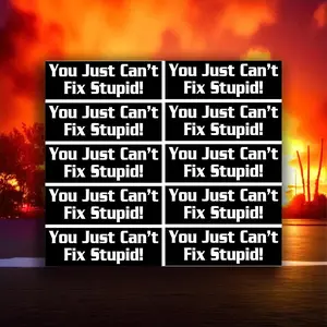 You Just Can't Fix Stupid Pack of 10 Firefighter Fire Department Helmet Stickers 4" x 1.25" Non Reflective Easy Peel and Stick Application