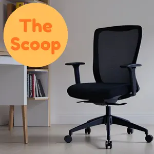 The Scoop Office Chair Ergonomic Black Mesh Back with Lumbar Support Self-Adjusting Seat & Height-Adjustable Arms for Commercial & Residential Use