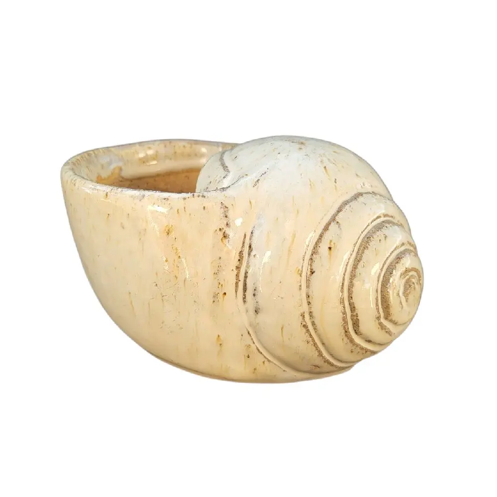 Seashell Ceramic Succulent Planter Vase Heavy Well Made Glazed Trinket Dish for Home Decor