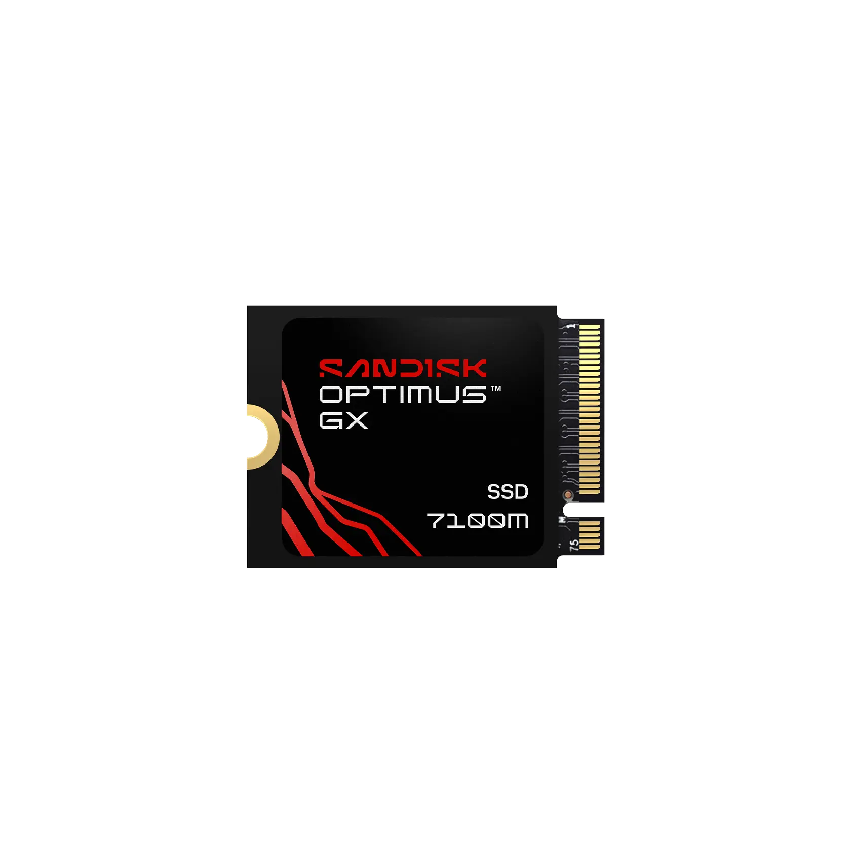 SANDISK Optimus GX 7100M NVMe™ SSD SANDISK Optimus GX 7100M NVMe™ SSD