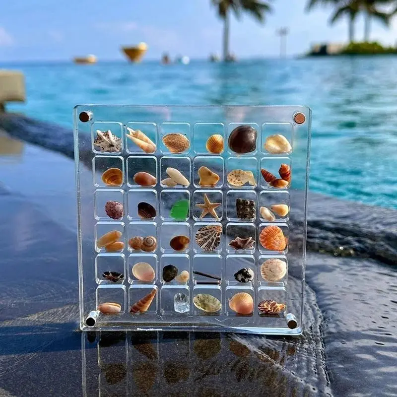Magnetic Shell Storage Box, 1 Box Multi-grid Clear Acrylic Shell Storage Box, Beach Shell Collection Storage Box, Home Organizer, Multi Grids Organizer, Acrylic Storage Containers, Acrylic Storage Boxes, Shells Not Included