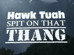 Hawk Tuah High Quality Vinyl Decal - 2 PACK