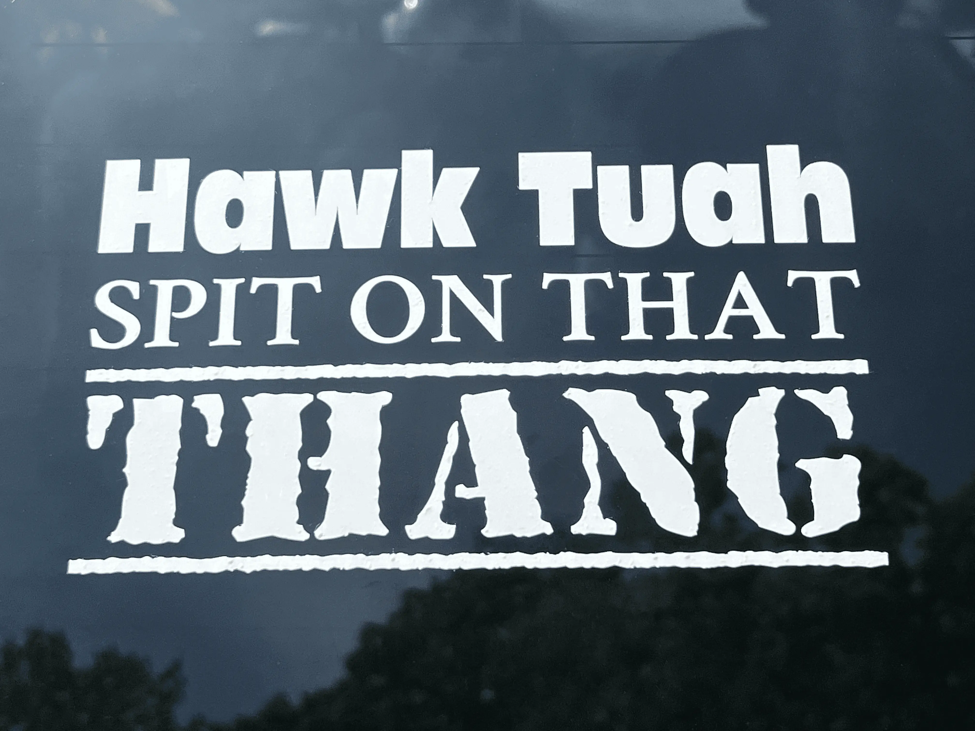 Hawk Tuah High Quality Vinyl Decal - 2 PACK
