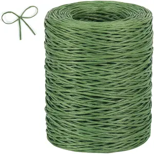 Tenn Well Floral Wire, 656 Feet 2mm Paper Covered Bind Wire for Floral Bouquets, Crowns, Wreath Making, Christmas Ornaments, Garlands, Wedding Decorating, Crafts (Green)