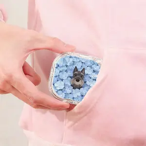 Blue Floral Schnauzer Printed Retainer Box Literary Fresh Denture Storage Case Student Portable Orthodontic Retainer Box Waterproof Moisture Proof Invisible Aligner Holder