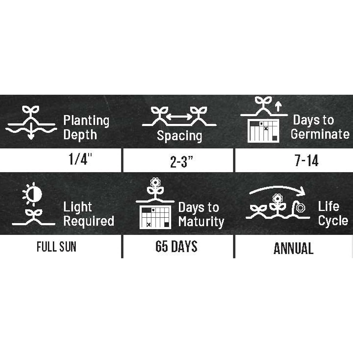 Rainbow Carrot Seeds for Planting  Packets 750 Seeds – Plant & Grow Rainbow Carrots in Home Outdoor Garden, Great Gardening Gift – 1 Packet