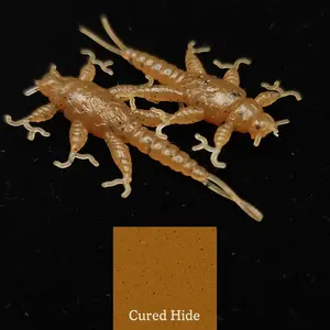 Jar of 1.5" Inch Stonefly Larvae "The Morelkin"