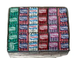 Chicles Canels Mexicanos 60 pz | Canel’s Assorted Flavored Chewing Gum Variety Pack, 60 Mini Packs