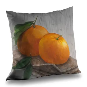 Begin Home Decor C1PT1414TNQNGP 14 x 14 in. Two Oranges Throw Pillow - Kitchen Hyperrealist Decor Insert