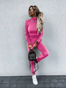 New Fall Winter Two-Piece Set, Sporty Long Pants and Sweatshirt, Knitwear with Tie Waist, Silver Fox Fleece