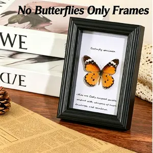 Six-Inch Butterfly Animal Plant Specimen Frame, Vintage Wooden, Wall Hanging Art, Home Office Decor, Birthday Gift, DIY Craft