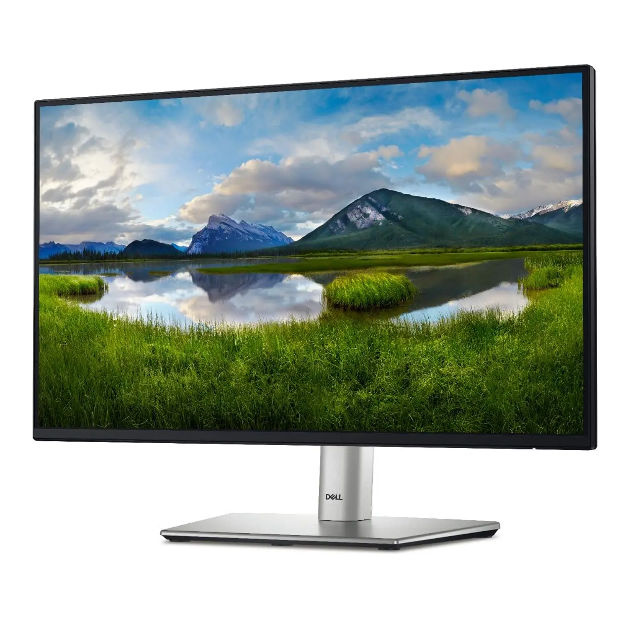 DELL P2425H 24" FHD 1920x1080 100Hz 5ms LED IPS Monitor