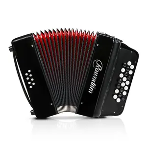 Accordion - 22 keys 8 bass, lightweight piano accordion for beginners, vibrant design for beginners and adults for easy learning
