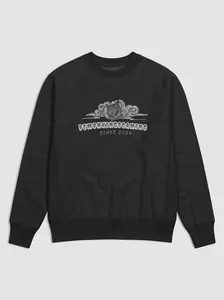 Demonkings Gaming x Champion Cotton Max Sweatshirt – 'Gray Scale Horned Skull':