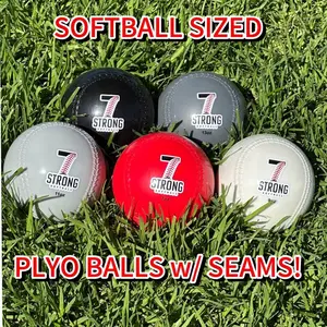 Softball Plyo Balls with Seams!