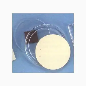 Round Acrylic Magnet - Self-Finishing