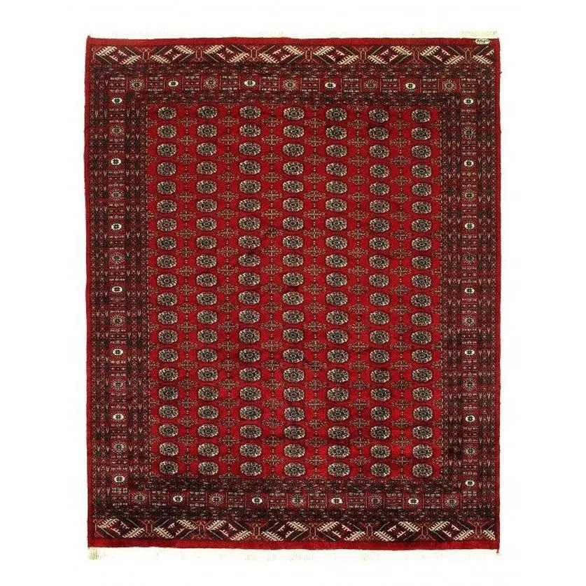 Canvello Fine Hand knotted Bokhara rug 8'1'' X 10'1''