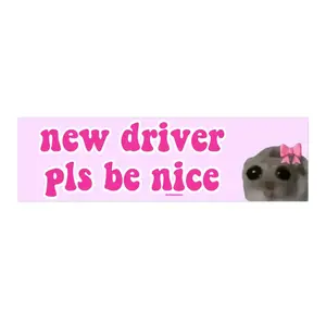 New driver pls be nice,Funny Meme Sticker 8.7"x2.7",Waterproof Premium Quality, Arya's house