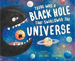 USED-There Was A Black Hole That Swallowed The Universe by Chris Ferrle (Paperback)