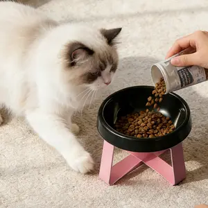 High appearance level inclined anti-vomiting elevated pet feeding bowl, tall cat and dog bowl, pet feeding bowl, anti-slip wide base, durable plastic material, suitable for cats and small dogs, suitable for wet and dry food, practical pet gift.