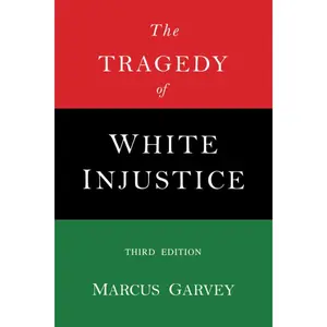The Tragedy of White Injustice Paperback – September 25, 2017
