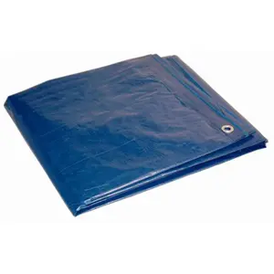 Foremost Tarp  6 x 8 ft. Dry Top Polyethylene Tarp, Blue